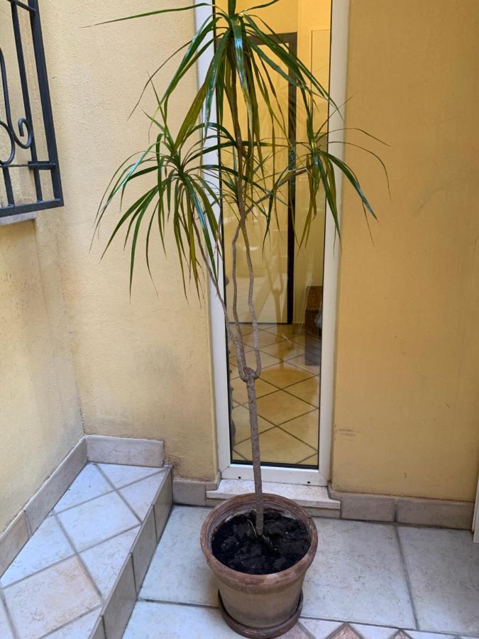Biora Apartments Cagliari Buitenkant foto